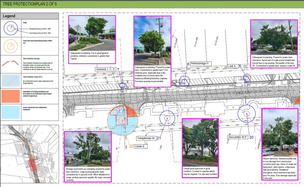 Tree Protection Plan